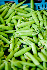frische grüne bohne im sommer auf dem markt