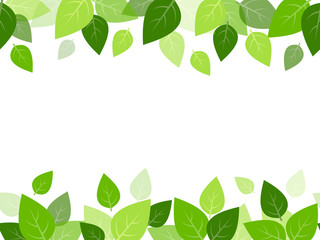 Obraz premium Horizontal seamless background with green leaves.