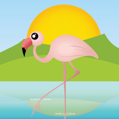 flamingo