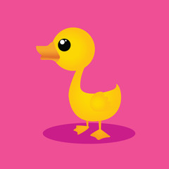 cute duck