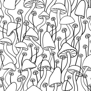 Fototapeta mushrooms seamless pattern