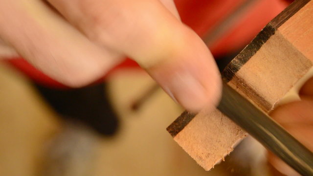 Luthier working with a lime wood