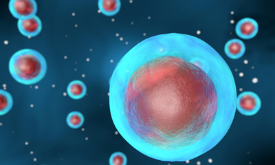 Cell