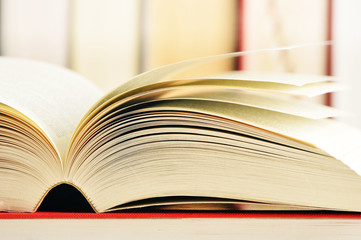 Composition with books on the table