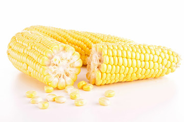 corn isolated © M.studio