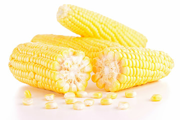 corn isolated © M.studio