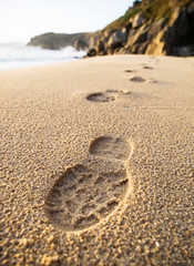 Fototapeta na wymiar Ślady szczegóły w piasku na plaży