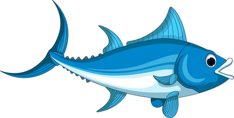 Illustration of an Atlantic bluefin tuna for you design
