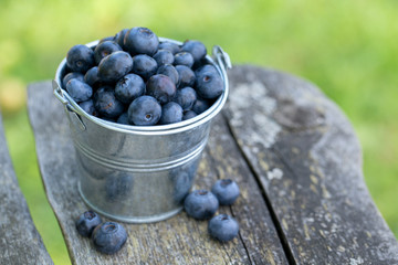 blueberries in a metallic bucket