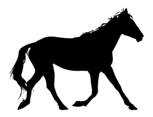 silhouette of the black horse vector illustration