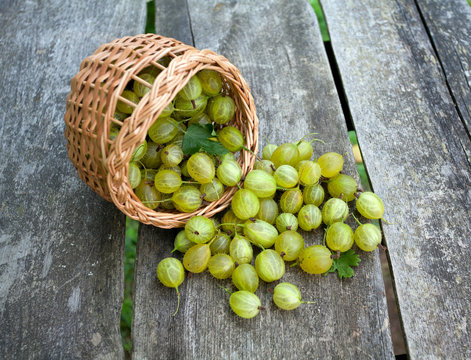 gooseberry in a basket on wooden background