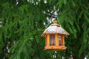 Bird feeders in the winter.