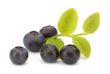Fresh blueberries isolated on white background