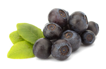 Fresh blueberries isolated on white background