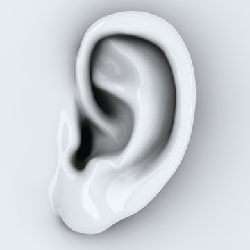 Ohr