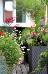 Naklejka premium Modern real estate