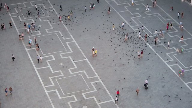 Markusplatz Venedig (Film)