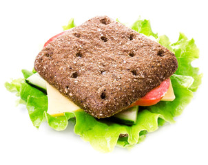 Fresh  sandwich with rye wholemeal bread,  cheese and vegetables