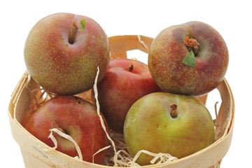 Quelques prunes vertes