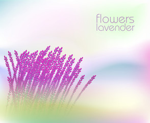 Abstract background with  lavender