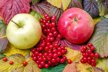Apples and cranberry
