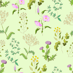 Seamless texture with  Wildflowers
