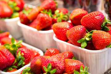 Fresh ripe strawberry