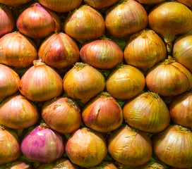 Fresh onions