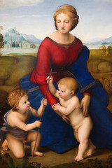 Madonna of the Meadow by Raphael (1505) - 54677889