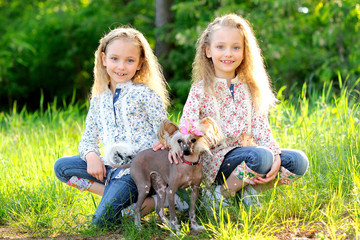 Fototapeta premium Portrait of two little girls twins