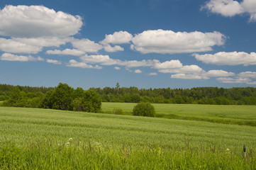 Wide field
