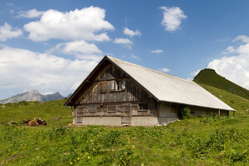 Fototapeta premium Stable in the Swiss alps