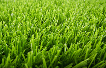 Fototapeta na wymiar Artificial green grass