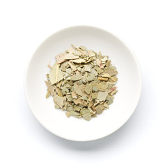 Eucalyptus , Blue gum , Tasmanian Blue Gum