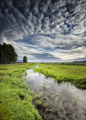 Wet Morning on Mormon Row