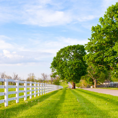 Country road surrounded the horse farms