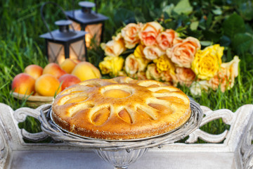 Round apricot cake on cake stand. Garden party, selective focus