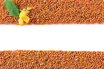 Mustard seeds with mustard flower isolated on white