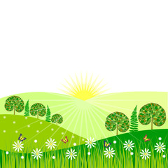 Vector morning landscape with trees, flowers and butterflies