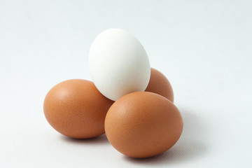 isolated eggs
