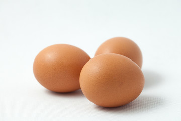 isolated eggs