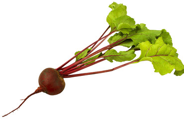 Beet
