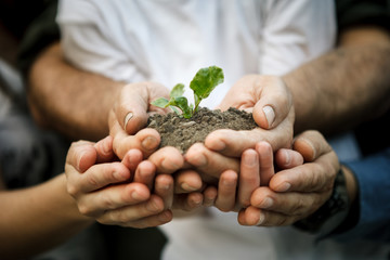 Hands of farmers family