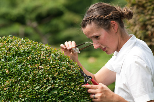 Junge Frau in Business Kleidung beschneidet Buchsbaum