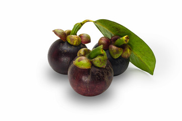 Mangosteen