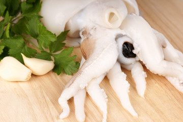 Raw cuttlefish