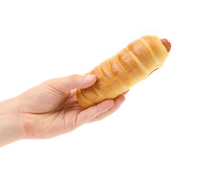 Hand holds hot dog baked.