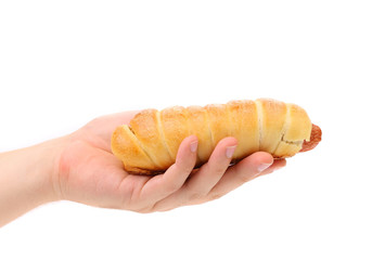 Hand holds hot dog baked.