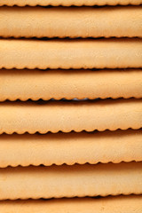 Background of stake saltine soda cracker.