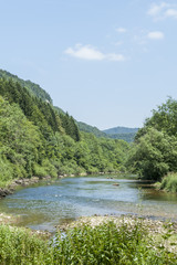 Fototapeta na wymiar Doubs rzeki, pomiędzy Saint Ursanne i Soubey, Jura
